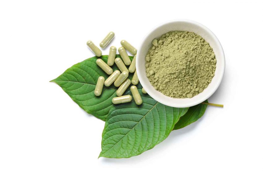 Why Is Kratom Gaining Popularity? Here Is Why!